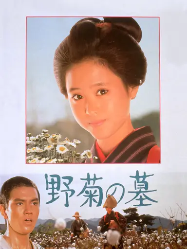 野菊之墓