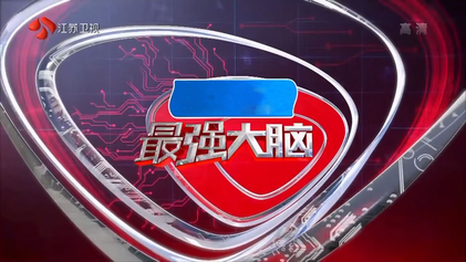 最强大脑（第十三季）