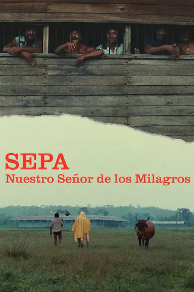 Sepa: Nuestro Señor de los milagros