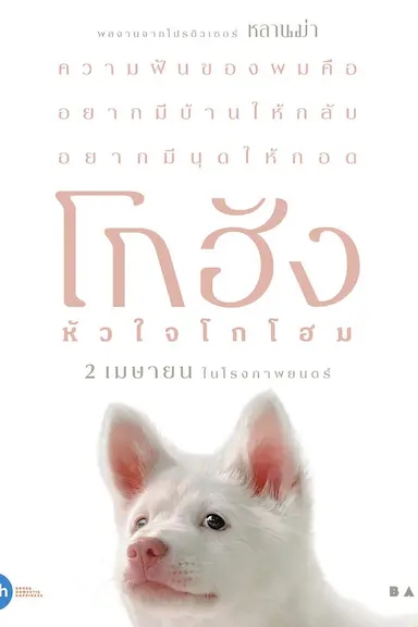 心犬相随