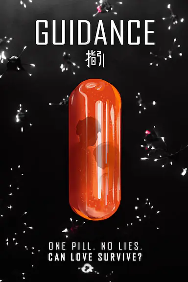 指引