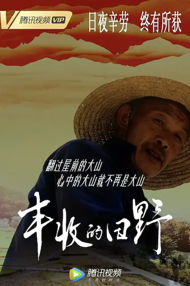 丰收的田野